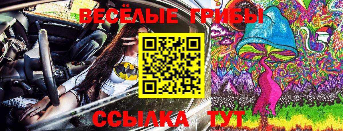 Псилоцибиновые грибы мицелий Кандалакша